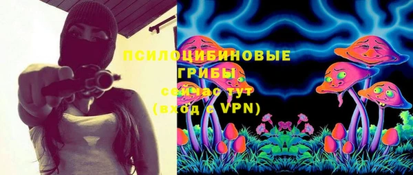 шишки Алексин