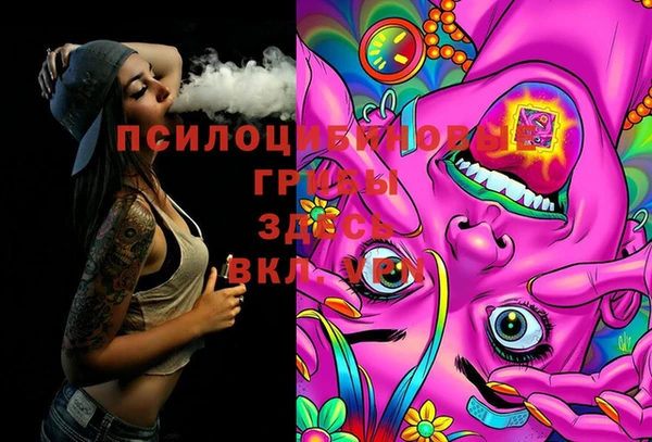 шишки Алексин