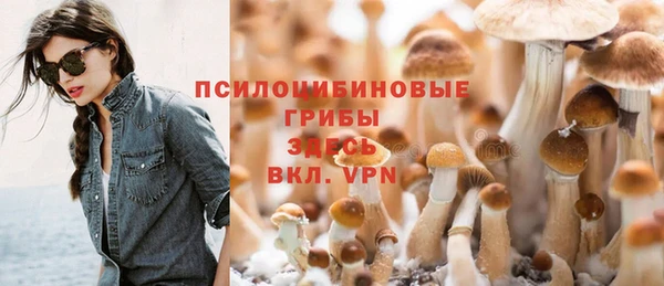 бошки Надым