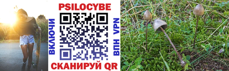 площадка какой сайт  Хвалынск  Псилоцибиновые грибы Psilocybe  где можно купить наркотик 