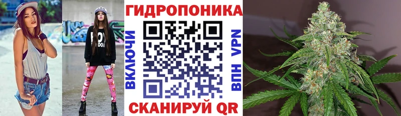 omg зеркало  наркота  Хвалынск  Шишки марихуана VHQ 